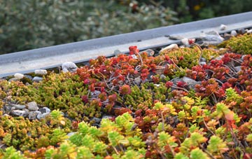 the cost of Fiskavaig green roof installation