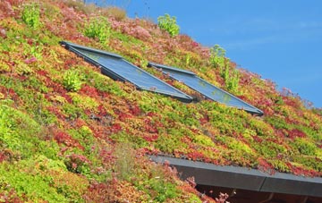 Fiskavaig living roof systems