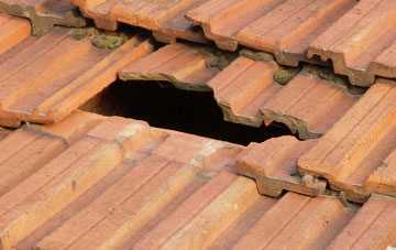 roof repair Fiskavaig, Highland