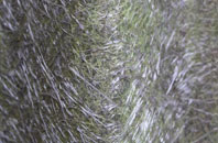 Fiskavaig fibreglass roof work